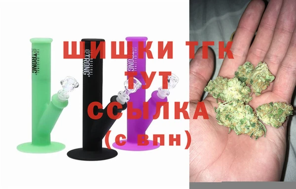 дмт Заводоуковск